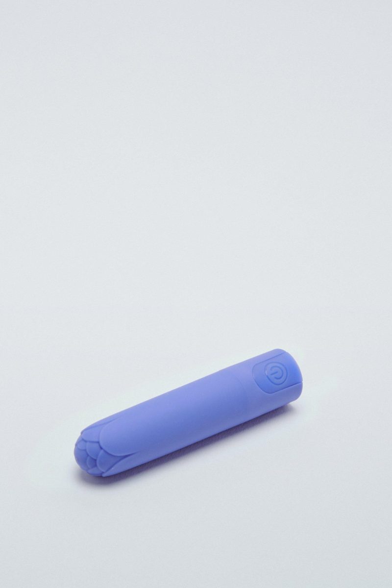 10-Function Bullet Vibrator Sex Toy | MIKISP