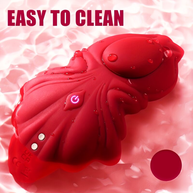 Vibrator Couples Sex Toys, Wearable Couple Vibrator, Vibrating Panties With, Mini Bullet Vibrator For Women - Image 2