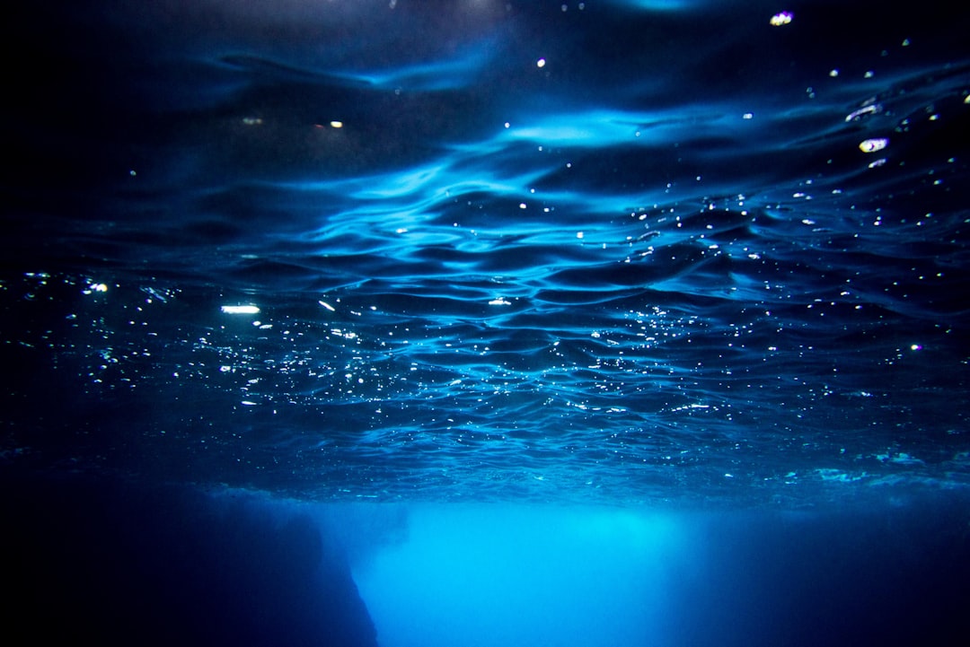 Underwater view with sunlight filtering through water.