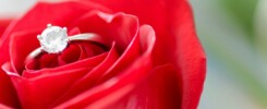 Why the rose’s form and hue attract energy, luck and love: a philosophical journey through sensual symbolism, fortune, and personal harmony.