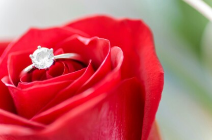 Why the rose’s form and hue attract energy, luck and love: a philosophical journey through sensual symbolism, fortune, and personal harmony.