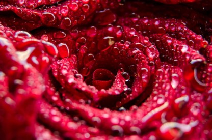 Why does the rose red, petal-shaped motif hold immense esoteric power? Explore how its vibrant hues shape lust, luck.