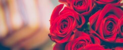 Rose-Shaped Sensual Aesthetics Attract Luck And Love