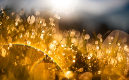 Gold energy - a glass vase with water drops on it