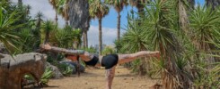 woman wellness yoga