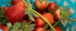 healthy food fruits vegetables