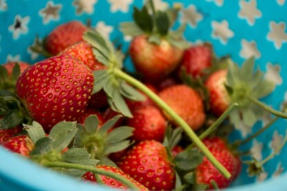 healthy food fruits vegetables